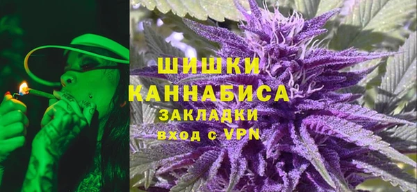 Альфа ПВП Аркадак